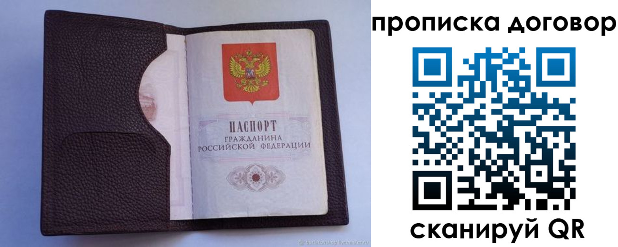 прописка поиск в Александрове